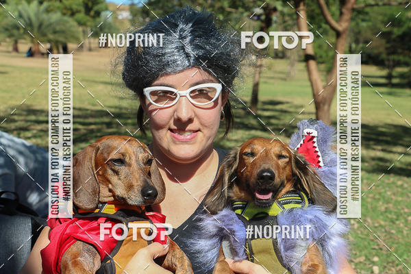Buy your photos of the event5� Encontro Oficial de Dachshunds e Concurso de Fantasias do Clube dos Salsichanos de Ribeir�o Preto/SP on Fotop