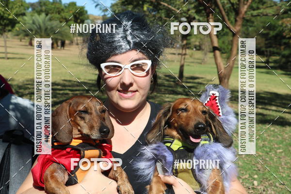 Buy your photos of the event5 Encontro Oficial de Dachshunds e Concurso de Fantasias do Clube dos Salsichanos de Ribeiro Preto/SP on Fotop
