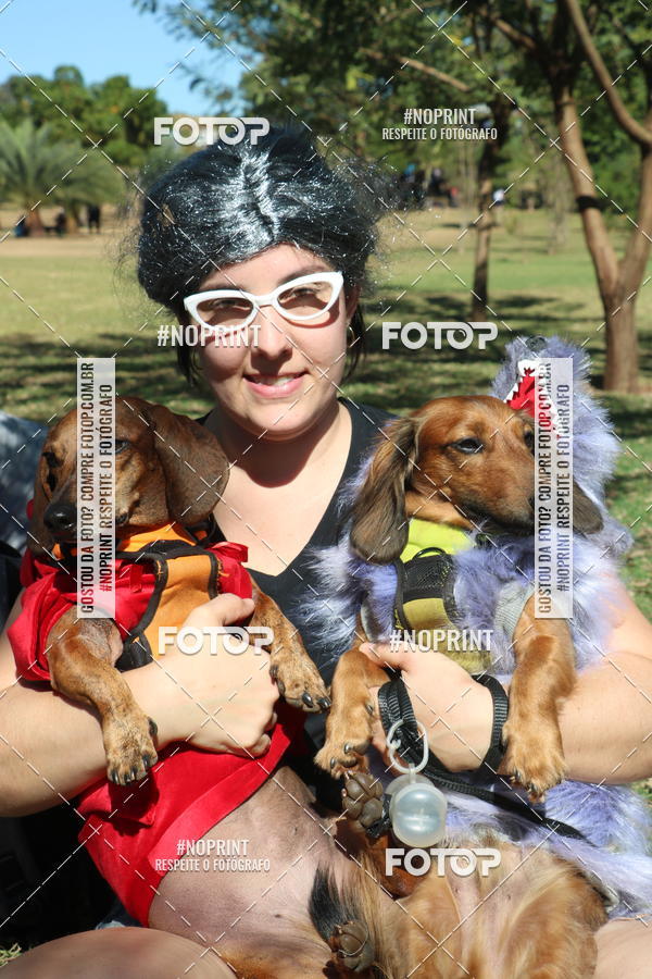 Buy your photos of the event5 Encontro Oficial de Dachshunds e Concurso de Fantasias do Clube dos Salsichanos de Ribeiro Preto/SP on Fotop
