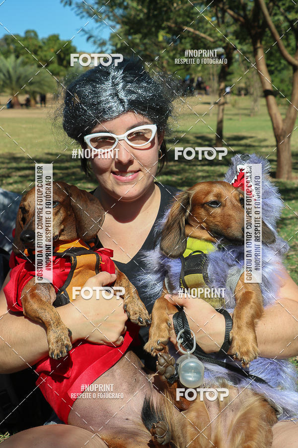 Buy your photos of the event5� Encontro Oficial de Dachshunds e Concurso de Fantasias do Clube dos Salsichanos de Ribeir�o Preto/SP on Fotop
