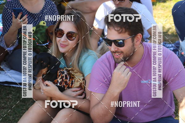 Buy your photos of the event5 Encontro Oficial de Dachshunds e Concurso de Fantasias do Clube dos Salsichanos de Ribeiro Preto/SP on Fotop