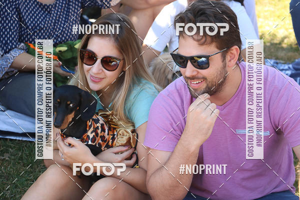 Buy your photos of the event5� Encontro Oficial de Dachshunds e Concurso de Fantasias do Clube dos Salsichanos de Ribeir�o Preto/SP on Fotop
