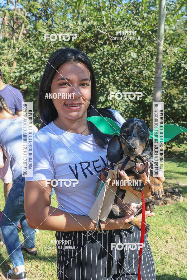 Buy your photos of the event5� Encontro Oficial de Dachshunds e Concurso de Fantasias do Clube dos Salsichanos de Ribeir�o Preto/SP on Fotop