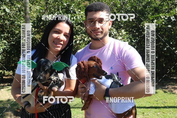 Buy your photos of the event5 Encontro Oficial de Dachshunds e Concurso de Fantasias do Clube dos Salsichanos de Ribeiro Preto/SP on Fotop