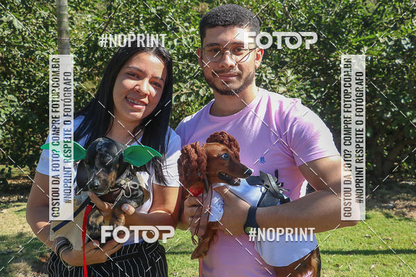 Buy your photos of the event5� Encontro Oficial de Dachshunds e Concurso de Fantasias do Clube dos Salsichanos de Ribeir�o Preto/SP on Fotop