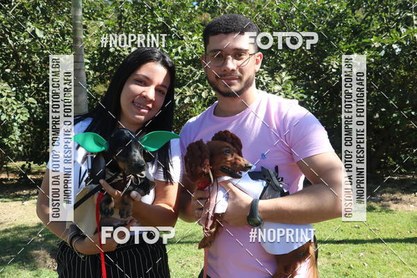 Buy your photos of the event5 Encontro Oficial de Dachshunds e Concurso de Fantasias do Clube dos Salsichanos de Ribeiro Preto/SP on Fotop