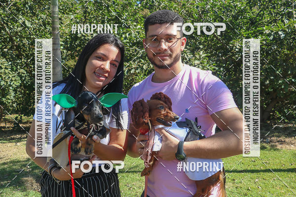 Buy your photos of the event5� Encontro Oficial de Dachshunds e Concurso de Fantasias do Clube dos Salsichanos de Ribeir�o Preto/SP on Fotop