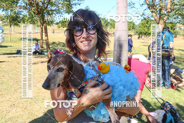 Buy your photos of the event5� Encontro Oficial de Dachshunds e Concurso de Fantasias do Clube dos Salsichanos de Ribeir�o Preto/SP on Fotop