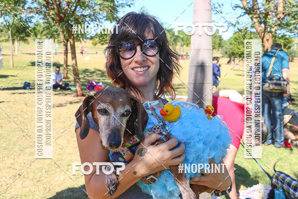 Buy your photos of the event5� Encontro Oficial de Dachshunds e Concurso de Fantasias do Clube dos Salsichanos de Ribeir�o Preto/SP on Fotop