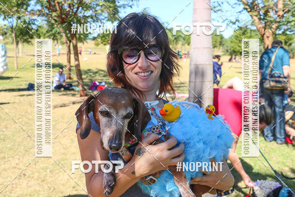 Buy your photos of the event5� Encontro Oficial de Dachshunds e Concurso de Fantasias do Clube dos Salsichanos de Ribeir�o Preto/SP on Fotop