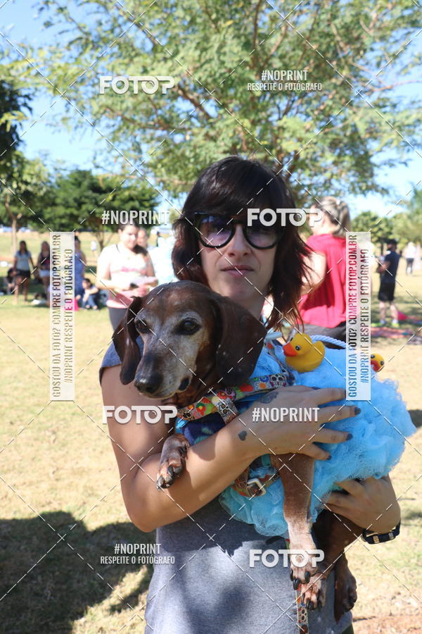 Buy your photos of the event5 Encontro Oficial de Dachshunds e Concurso de Fantasias do Clube dos Salsichanos de Ribeiro Preto/SP on Fotop