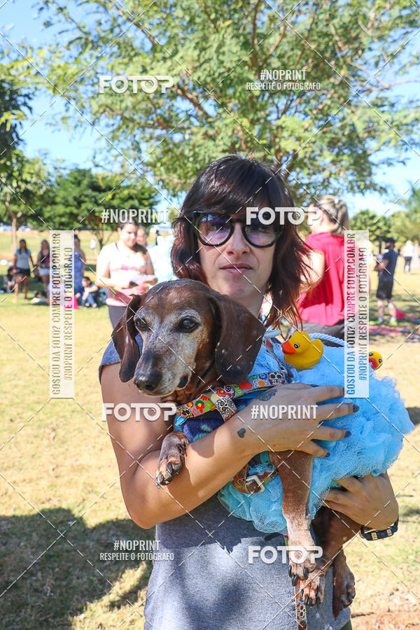 Buy your photos of the event5� Encontro Oficial de Dachshunds e Concurso de Fantasias do Clube dos Salsichanos de Ribeir�o Preto/SP on Fotop