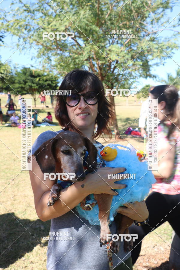 Buy your photos of the event5 Encontro Oficial de Dachshunds e Concurso de Fantasias do Clube dos Salsichanos de Ribeiro Preto/SP on Fotop