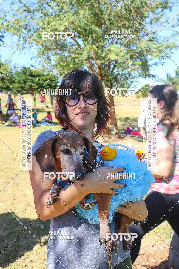 Buy your photos of the event5� Encontro Oficial de Dachshunds e Concurso de Fantasias do Clube dos Salsichanos de Ribeir�o Preto/SP on Fotop