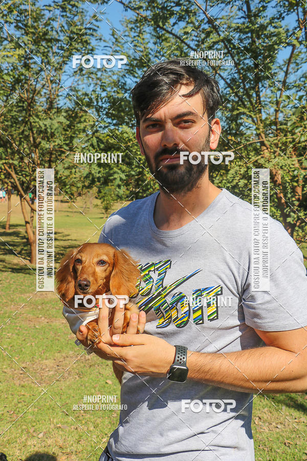 Buy your photos of the event5� Encontro Oficial de Dachshunds e Concurso de Fantasias do Clube dos Salsichanos de Ribeir�o Preto/SP on Fotop