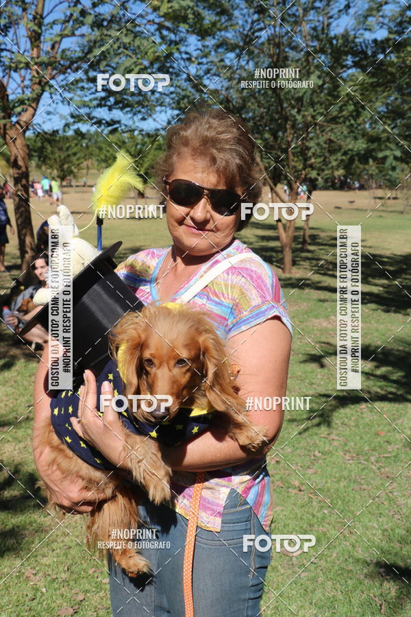 Buy your photos of the event5 Encontro Oficial de Dachshunds e Concurso de Fantasias do Clube dos Salsichanos de Ribeiro Preto/SP on Fotop