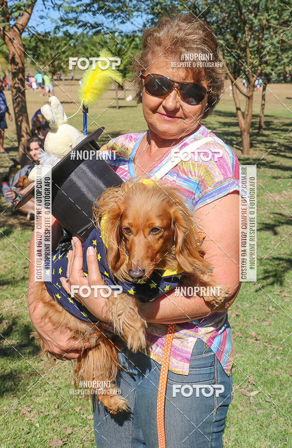 Buy your photos of the event5� Encontro Oficial de Dachshunds e Concurso de Fantasias do Clube dos Salsichanos de Ribeir�o Preto/SP on Fotop