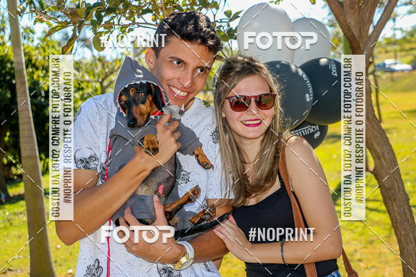 Buy your photos of the event5� Encontro Oficial de Dachshunds e Concurso de Fantasias do Clube dos Salsichanos de Ribeir�o Preto/SP on Fotop