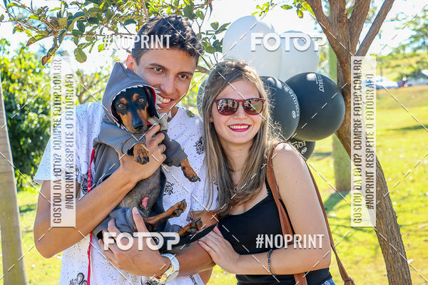 Buy your photos of the event5� Encontro Oficial de Dachshunds e Concurso de Fantasias do Clube dos Salsichanos de Ribeir�o Preto/SP on Fotop
