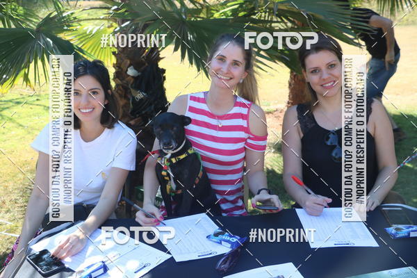 Buy your photos of the event5 Encontro Oficial de Dachshunds e Concurso de Fantasias do Clube dos Salsichanos de Ribeiro Preto/SP on Fotop