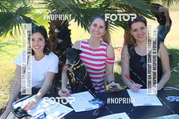 Buy your photos of the event5� Encontro Oficial de Dachshunds e Concurso de Fantasias do Clube dos Salsichanos de Ribeir�o Preto/SP on Fotop