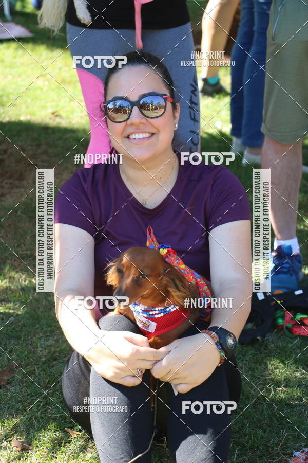 Buy your photos of the event5 Encontro Oficial de Dachshunds e Concurso de Fantasias do Clube dos Salsichanos de Ribeiro Preto/SP on Fotop