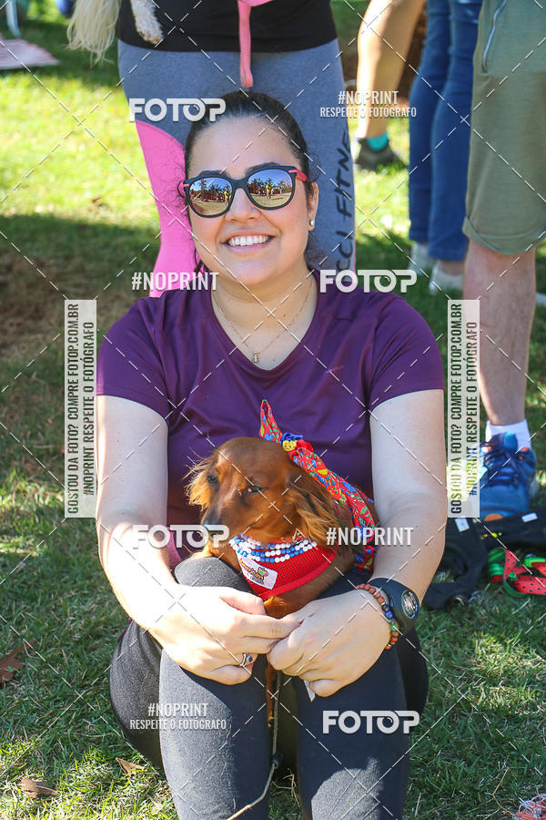 Buy your photos of the event5� Encontro Oficial de Dachshunds e Concurso de Fantasias do Clube dos Salsichanos de Ribeir�o Preto/SP on Fotop