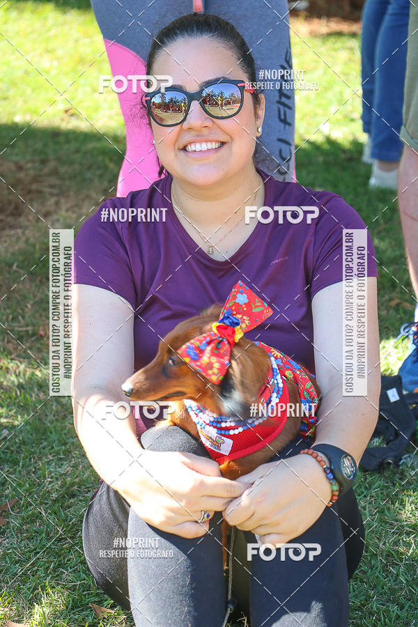 Buy your photos of the event5� Encontro Oficial de Dachshunds e Concurso de Fantasias do Clube dos Salsichanos de Ribeir�o Preto/SP on Fotop