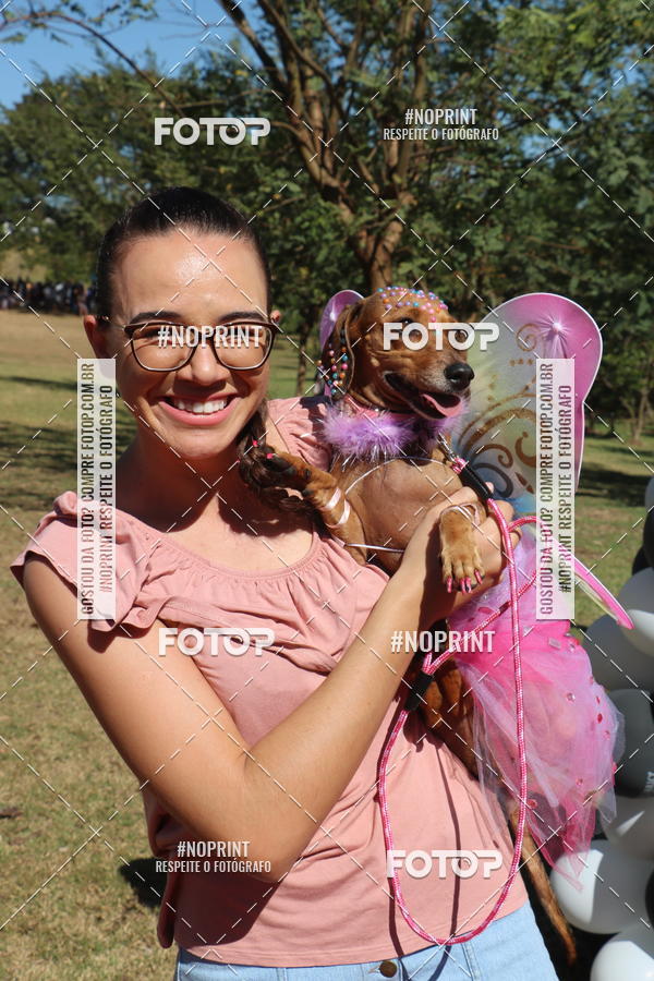 Buy your photos of the event5 Encontro Oficial de Dachshunds e Concurso de Fantasias do Clube dos Salsichanos de Ribeiro Preto/SP on Fotop