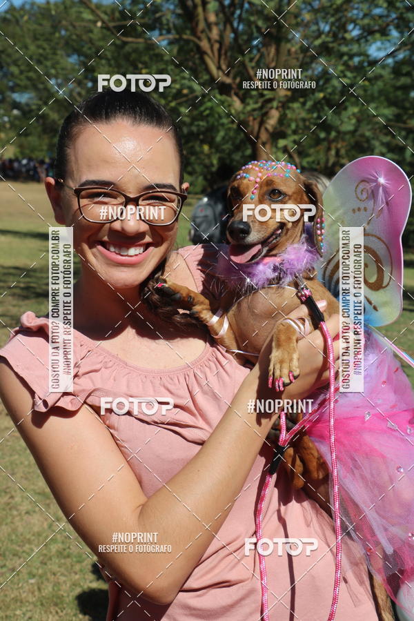 Buy your photos of the event5 Encontro Oficial de Dachshunds e Concurso de Fantasias do Clube dos Salsichanos de Ribeiro Preto/SP on Fotop