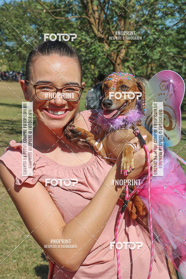 Compre suas fotos do evento5� Encontro Oficial de Dachshunds e Concurso de Fantasias do Clube dos Salsichanos de Ribeir�o Preto/SP no Fotop