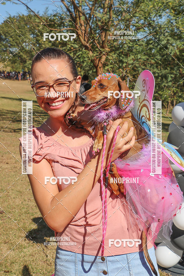 Compre suas fotos do evento5� Encontro Oficial de Dachshunds e Concurso de Fantasias do Clube dos Salsichanos de Ribeir�o Preto/SP no Fotop