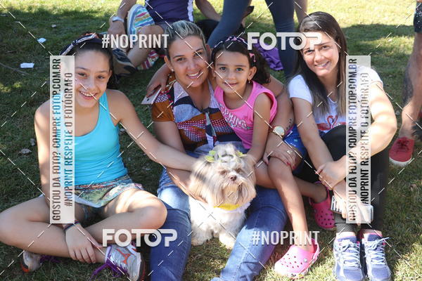 Buy your photos of the event5 Encontro Oficial de Dachshunds e Concurso de Fantasias do Clube dos Salsichanos de Ribeiro Preto/SP on Fotop