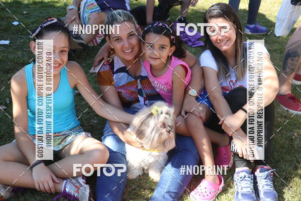 Buy your photos of the event5 Encontro Oficial de Dachshunds e Concurso de Fantasias do Clube dos Salsichanos de Ribeiro Preto/SP on Fotop