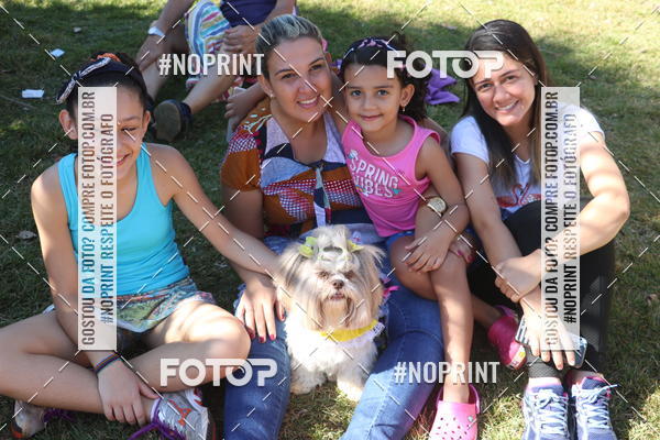 Buy your photos of the event5 Encontro Oficial de Dachshunds e Concurso de Fantasias do Clube dos Salsichanos de Ribeiro Preto/SP on Fotop