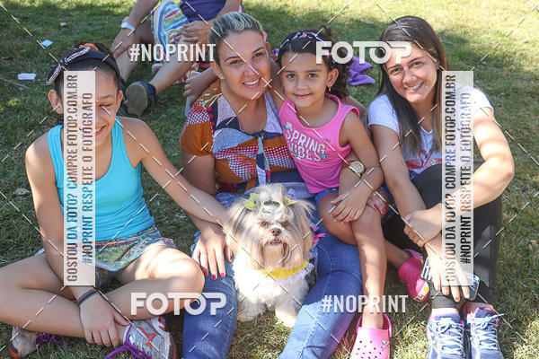 Buy your photos of the event5 Encontro Oficial de Dachshunds e Concurso de Fantasias do Clube dos Salsichanos de Ribeiro Preto/SP on Fotop