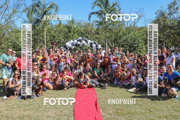Buy your photos of the event5 Encontro Oficial de Dachshunds e Concurso de Fantasias do Clube dos Salsichanos de Ribeiro Preto/SP on Fotop