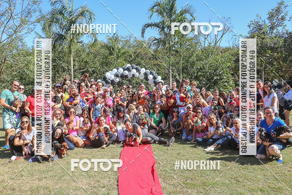 Buy your photos of the event5 Encontro Oficial de Dachshunds e Concurso de Fantasias do Clube dos Salsichanos de Ribeiro Preto/SP on Fotop