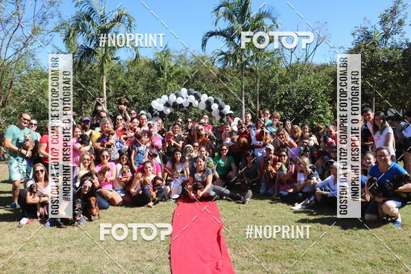 Buy your photos of the event5 Encontro Oficial de Dachshunds e Concurso de Fantasias do Clube dos Salsichanos de Ribeiro Preto/SP on Fotop