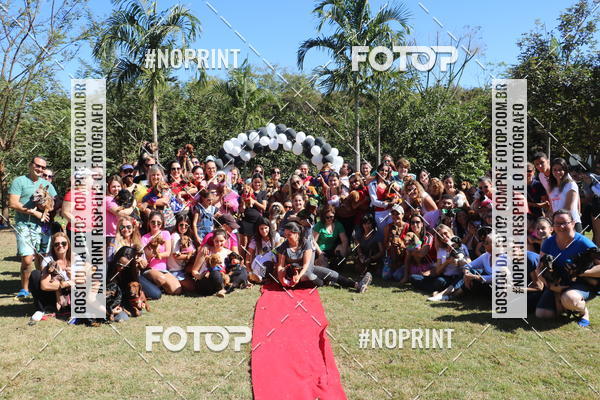 Buy your photos of the event5 Encontro Oficial de Dachshunds e Concurso de Fantasias do Clube dos Salsichanos de Ribeiro Preto/SP on Fotop