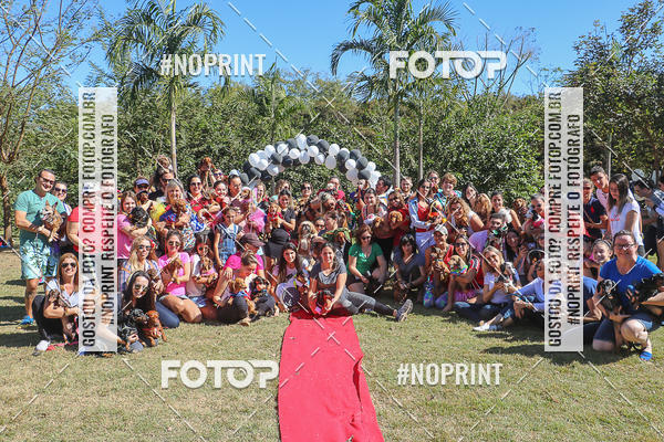 Buy your photos of the event5 Encontro Oficial de Dachshunds e Concurso de Fantasias do Clube dos Salsichanos de Ribeiro Preto/SP on Fotop