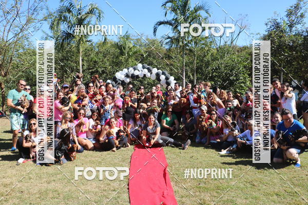 Buy your photos of the event5 Encontro Oficial de Dachshunds e Concurso de Fantasias do Clube dos Salsichanos de Ribeiro Preto/SP on Fotop