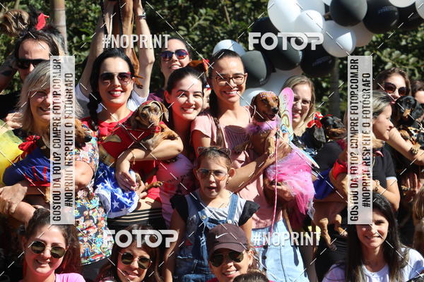 Buy your photos of the event5 Encontro Oficial de Dachshunds e Concurso de Fantasias do Clube dos Salsichanos de Ribeiro Preto/SP on Fotop