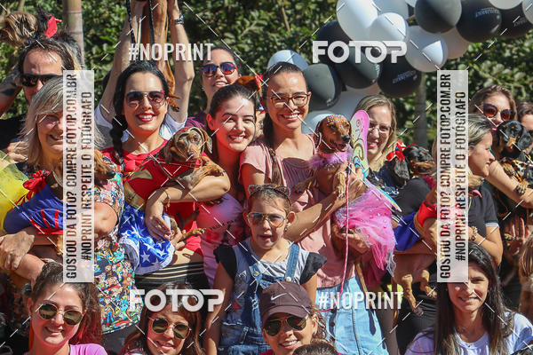 Buy your photos of the event5 Encontro Oficial de Dachshunds e Concurso de Fantasias do Clube dos Salsichanos de Ribeiro Preto/SP on Fotop