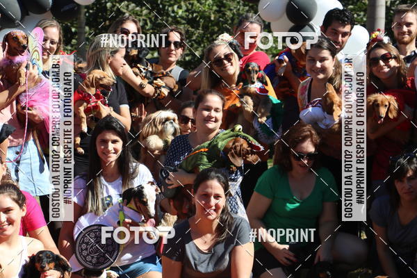 Buy your photos of the event5 Encontro Oficial de Dachshunds e Concurso de Fantasias do Clube dos Salsichanos de Ribeiro Preto/SP on Fotop