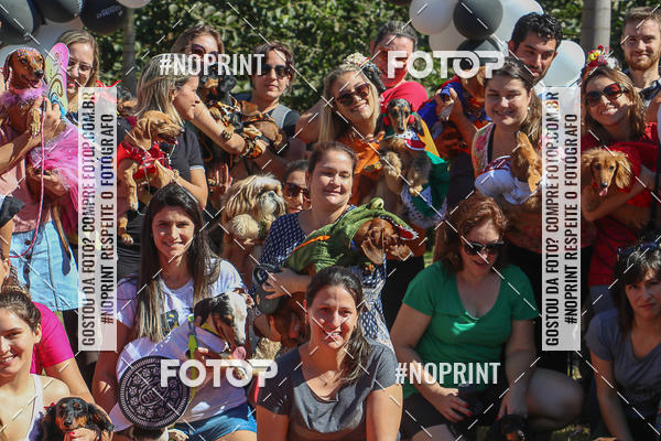 Buy your photos of the event5 Encontro Oficial de Dachshunds e Concurso de Fantasias do Clube dos Salsichanos de Ribeiro Preto/SP on Fotop