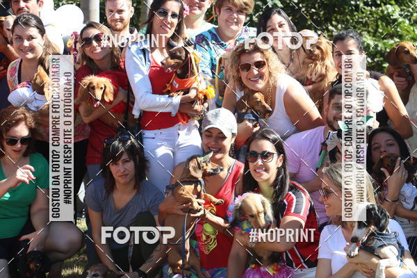 Buy your photos of the event5 Encontro Oficial de Dachshunds e Concurso de Fantasias do Clube dos Salsichanos de Ribeiro Preto/SP on Fotop