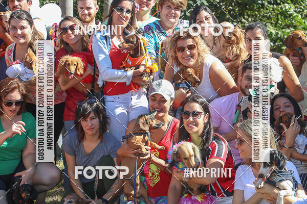 Buy your photos of the event5 Encontro Oficial de Dachshunds e Concurso de Fantasias do Clube dos Salsichanos de Ribeiro Preto/SP on Fotop