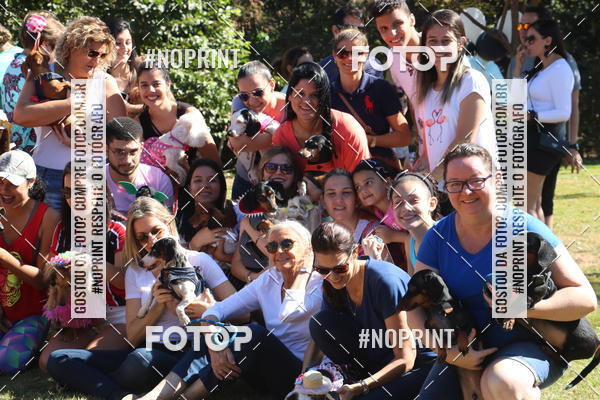 Buy your photos of the event5 Encontro Oficial de Dachshunds e Concurso de Fantasias do Clube dos Salsichanos de Ribeiro Preto/SP on Fotop