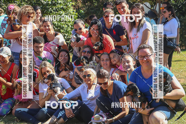 Buy your photos of the event5 Encontro Oficial de Dachshunds e Concurso de Fantasias do Clube dos Salsichanos de Ribeiro Preto/SP on Fotop